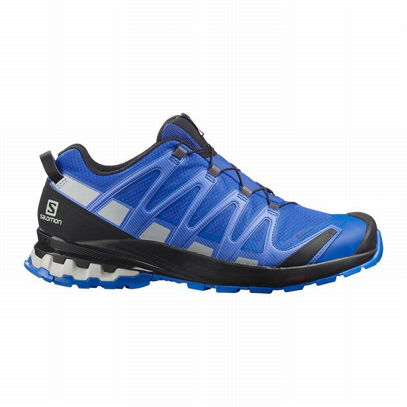 Salomon XA PRO 3D V8 GORE-TEX Zapatillas Trail Running Hombre - Negras / Azules - Colombia (76059-DP